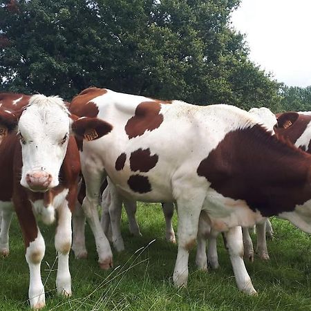 Gite A La Ferme, Avec Animaux, Fromages Et Nature Neuville-les-Decize Экстерьер фото