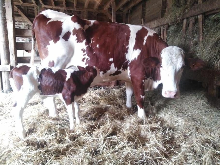 Gite A La Ferme, Avec Animaux, Fromages Et Nature Neuville-les-Decize Экстерьер фото