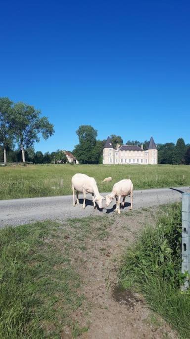 Gite A La Ferme, Avec Animaux, Fromages Et Nature Neuville-les-Decize Экстерьер фото