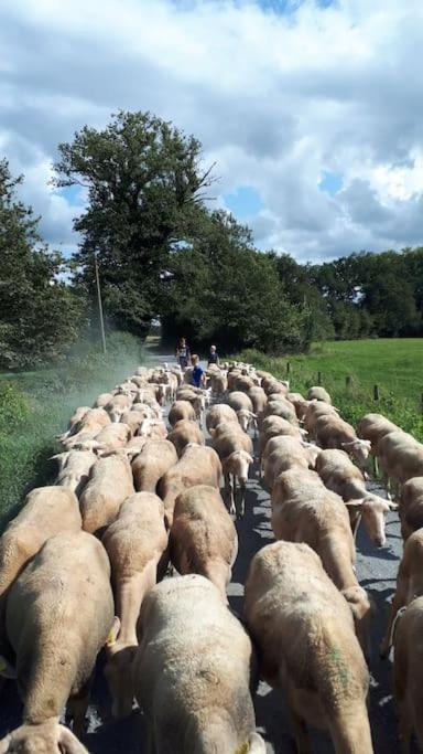 Gite A La Ferme, Avec Animaux, Fromages Et Nature Neuville-les-Decize Экстерьер фото